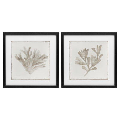 Ensemble de 2 impressions encadrées sous verre Beige Coral Drift, design par Lily K.