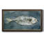 «Deep Sea Swimmer II», reproduction d'un seul cadre photo sur toile-1531911710