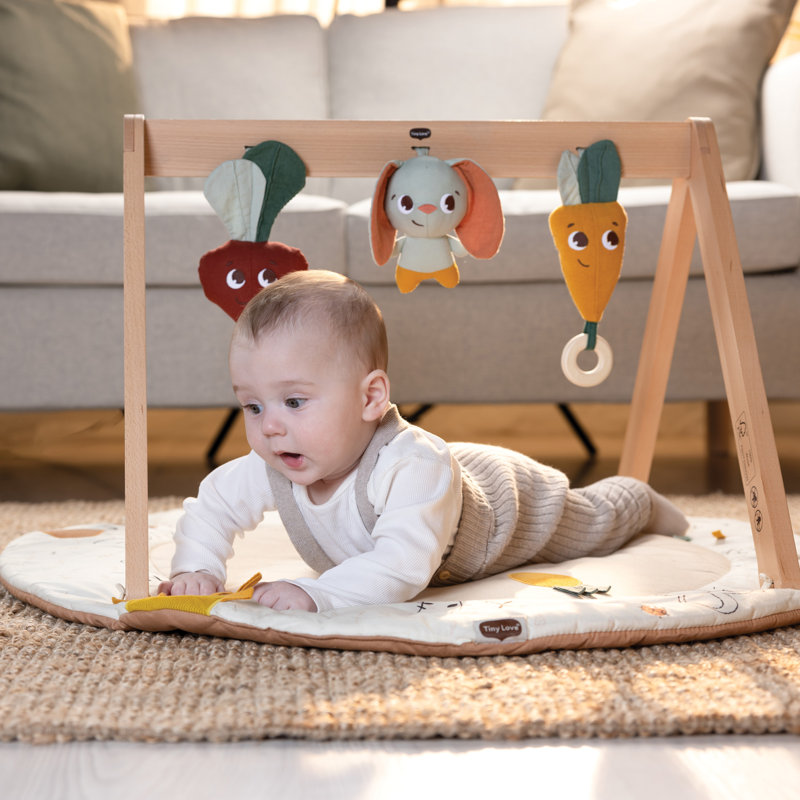Tiny Love Luxe Developmental Gymini