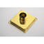 Caniveau de douche carré, 15 x 15 cm, acier inoxydable, fini or brossé, couvercle de grille-136051296