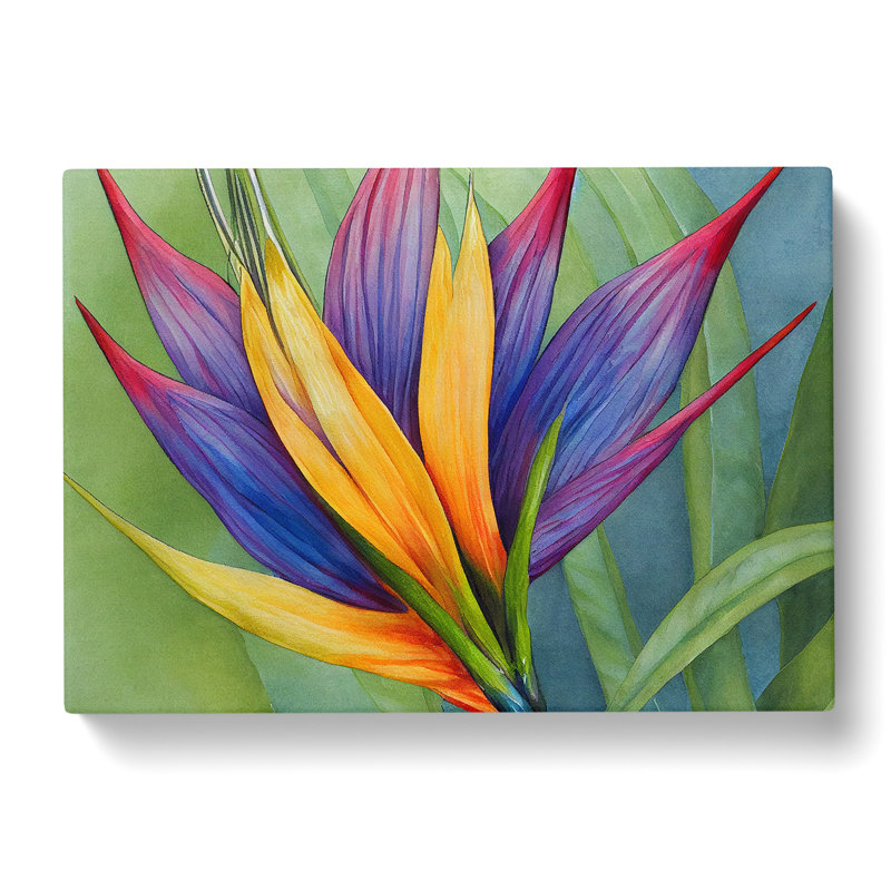 Handsome Bird Of Paradise Flower - Wrapped Canvas, 35cm H x 50cm W x 3cm D
