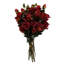 Plastic, Silk Artificial Arrangement-88685033