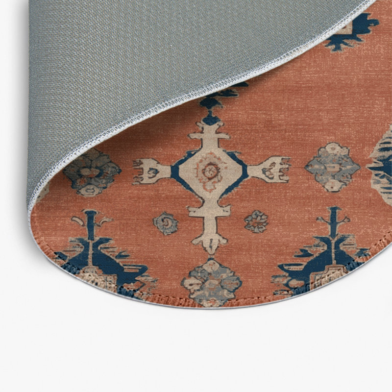 Tapis intérieur et extérieur brun Overdyed, Rond 5 pi