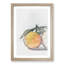 The Orange Tree in Abstract - Picture Frame Graphic Art Print-55763485-55763488