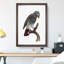 Grey Parrot Perched by F. Levaillant - Picture Frame Painting Print-55609138-55609139