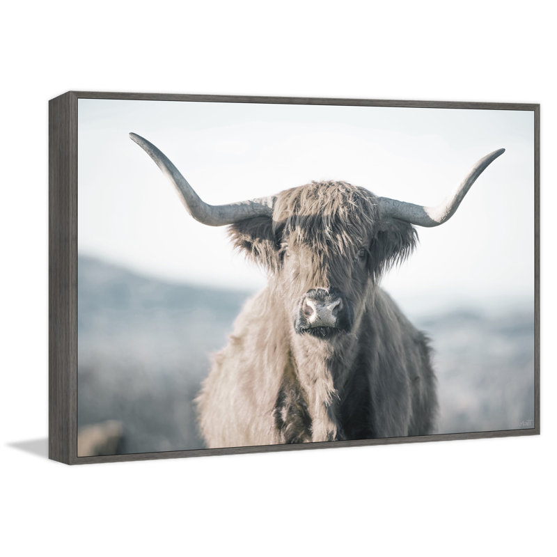 Highland Close-up - Print, Floater Grey Framed Canvas, 30cm H x 30cm W x 3.81cm D