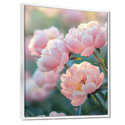 Pe pivoines at the Orchards Edge II - pivoines, reproduction d'art sur toile encadrée