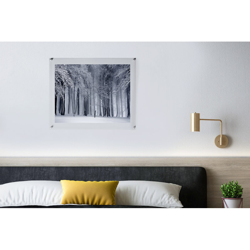 Devian Clear Acrylic Floating Picture Frame, 16" x 20", Silver
