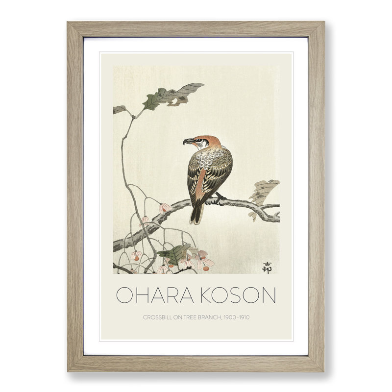 Crossbill On A Tree Branch by Ohara Koson - Single Picture Frame Print, 48cm H x 36cm W x 2cm D, Oak Framed
