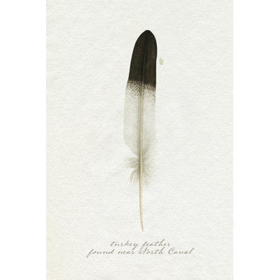 Found Feather IV -  Painting