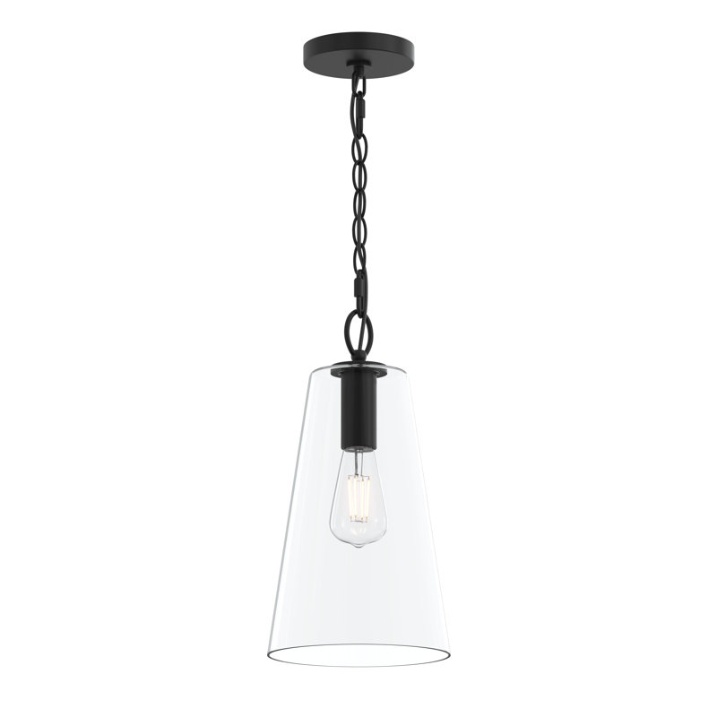 Jheni One-Light Matte Black Pendant with Clear Glass Shade, Matte Black