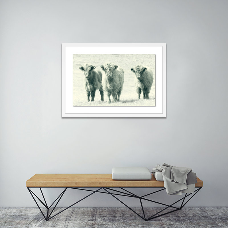 Cows Print by Pernille Westh, White, 28" H x 40" W x 2.5" D