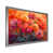 Silver Single Picture Framed