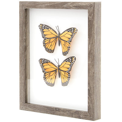 Super-Sturdy, Real Wood 8X10 Shadow Box Frame 1Pk. Genuine Hardwood Display With Real Glass. Best Shadowbox To Showcase Photos, Tickets, Wedding Bouquets, Cds, Medals, Awards, Seashells And Insects.