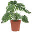 Round Flower Pot 6 Pcs Plastic-701502282-701502283