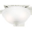 Ventilateur de plafond encastré à 5 pales de 42 po avec lumières et chaînes de traction Newsome-56004766