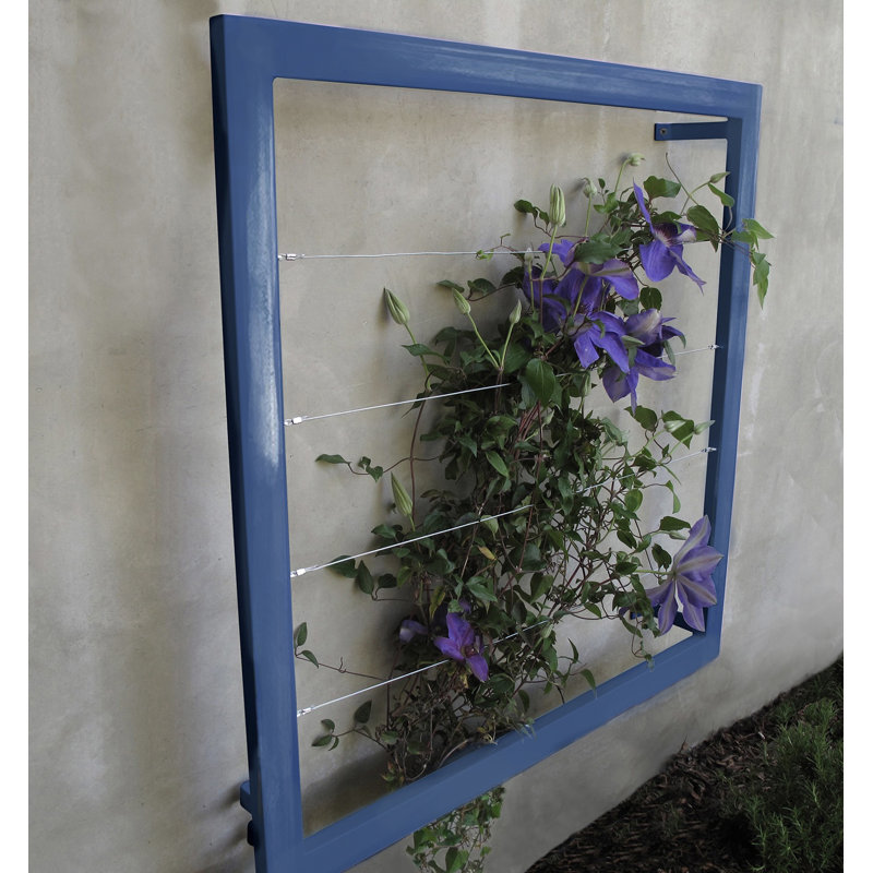 Treillis en acier Durene Wall, Bleu