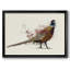 Pheasant Splash 2, reproduction d'art sur toile-275032825-275032826