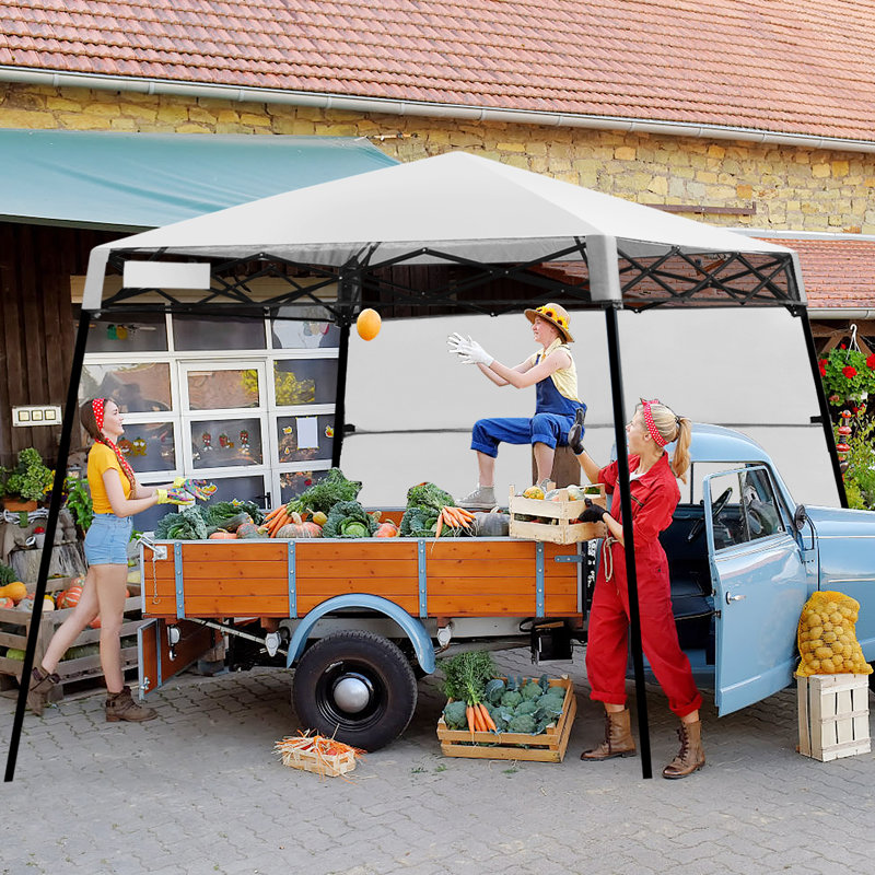 Britini 2m x 2m Metal Pop-Up Canopy