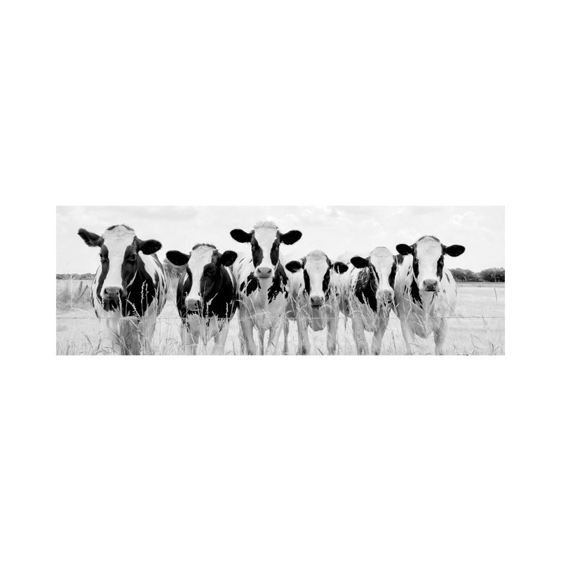 Grazing Pasture by Lars Van De Goor - Wrapped Canvas Panoramic Print, 30.48cm H x 91.44cm W x 1.905cm D