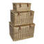Wicker 3 Piece Basket Set