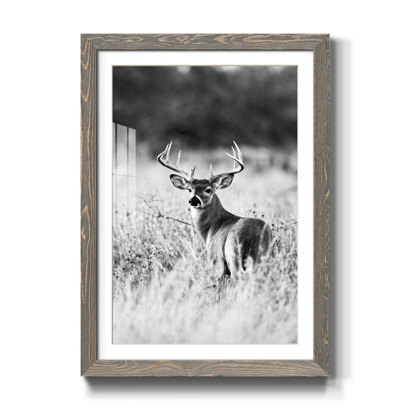 " Grasslands ", Gray Framed Paper, 24" H x 18" W x 1.5" D, White