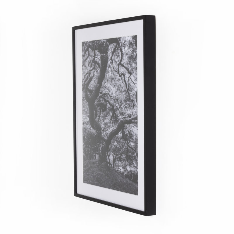 Tree Gaze IV Print by Coup D'Esprit, 40" H x 30" W x 2.5" D