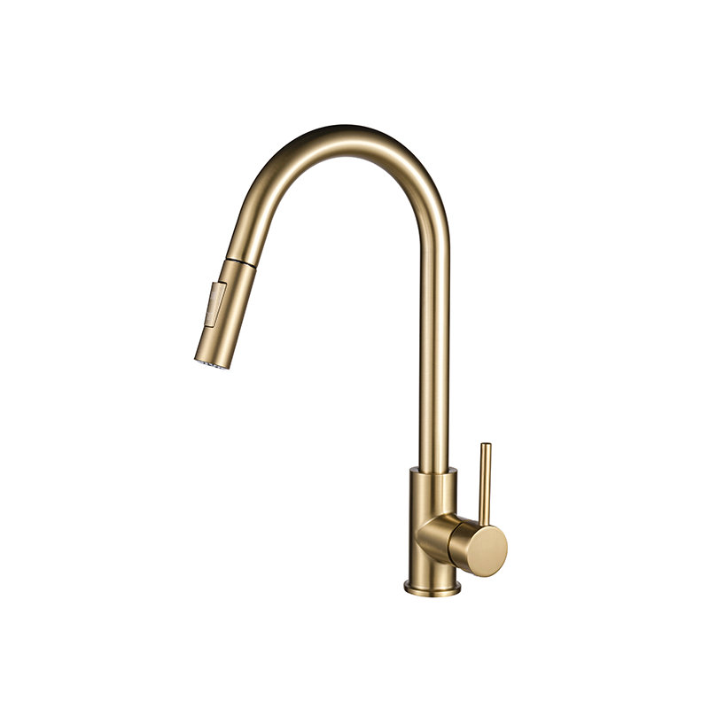 Robinet de cuisine à poignée simple avec accessoires Trova, Laiton satiné
