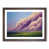 Walnut Framed selected