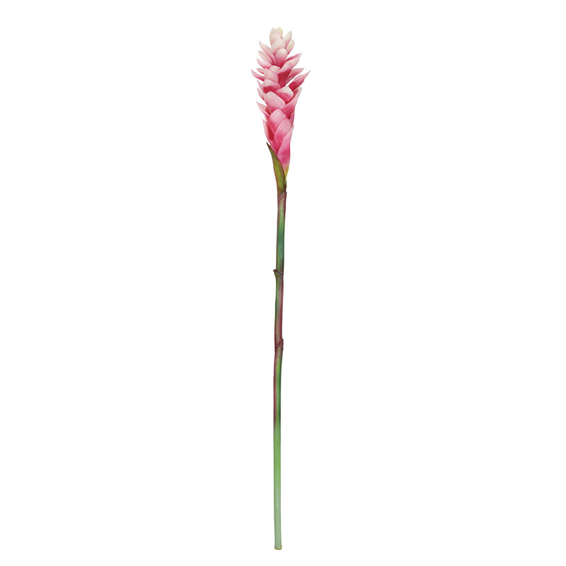 Tige de gingembre artificielle Real Touch, Rose