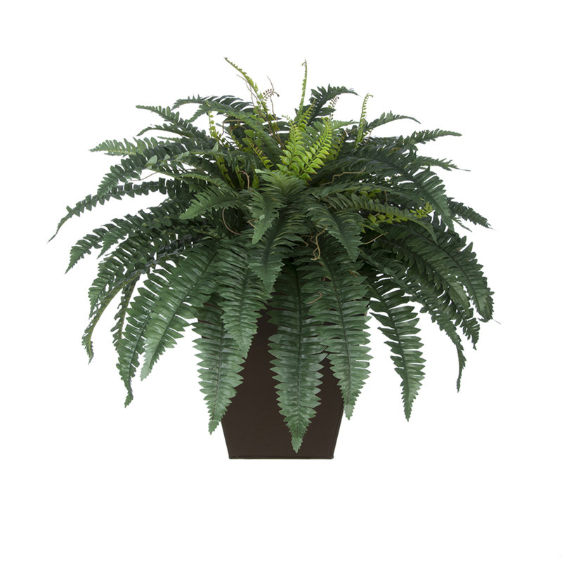 Plantes artificielles 12" en pot de fleurs, Brun brillant