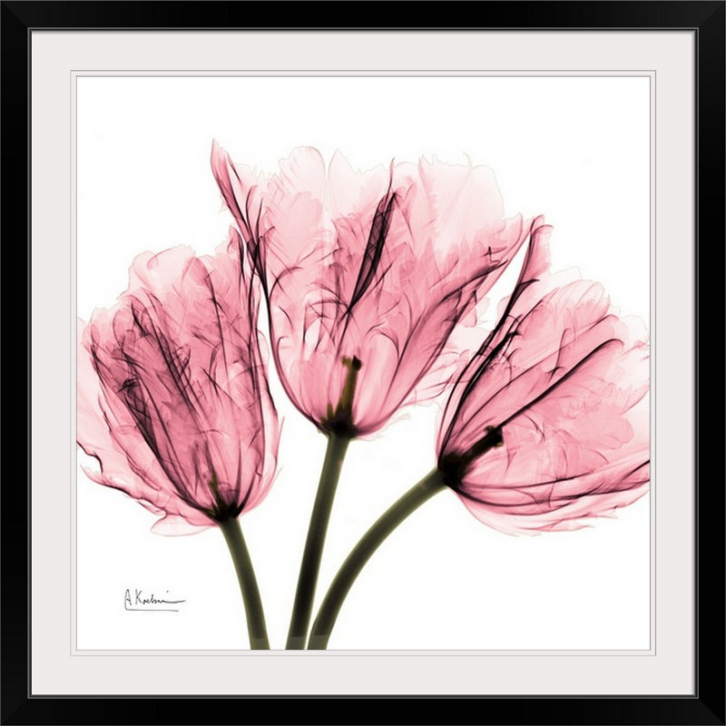 «Tulips Laugh II X-Ray» par Albert Koetsier, reproduction de photo, H 32 po x l 32 po x P 1 po, Cadre noir