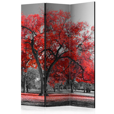 53'' W x 68'' H 3 - Panel Solid Wood Folding Room Divider