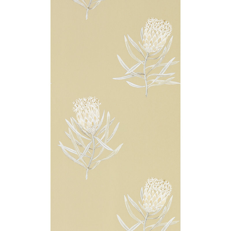 Protea Flower, Yellow/White