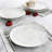 Martha Stewart 10.5 Inch Fine Ceramic 6 Piece Decorated Dinner Plates In White