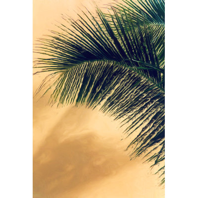 Palm Frond Print