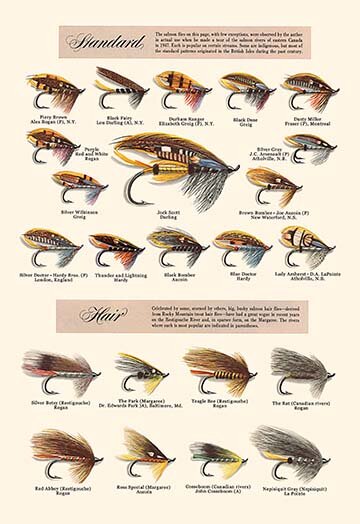Buyenlarge 'Fly-Fishing Lures: Standard and Hair' Graphic Art