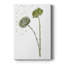 «Botany Flower V», impression sur toile tendue-158828451
