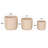Tommen Ceramic Pot Planter-1754563293