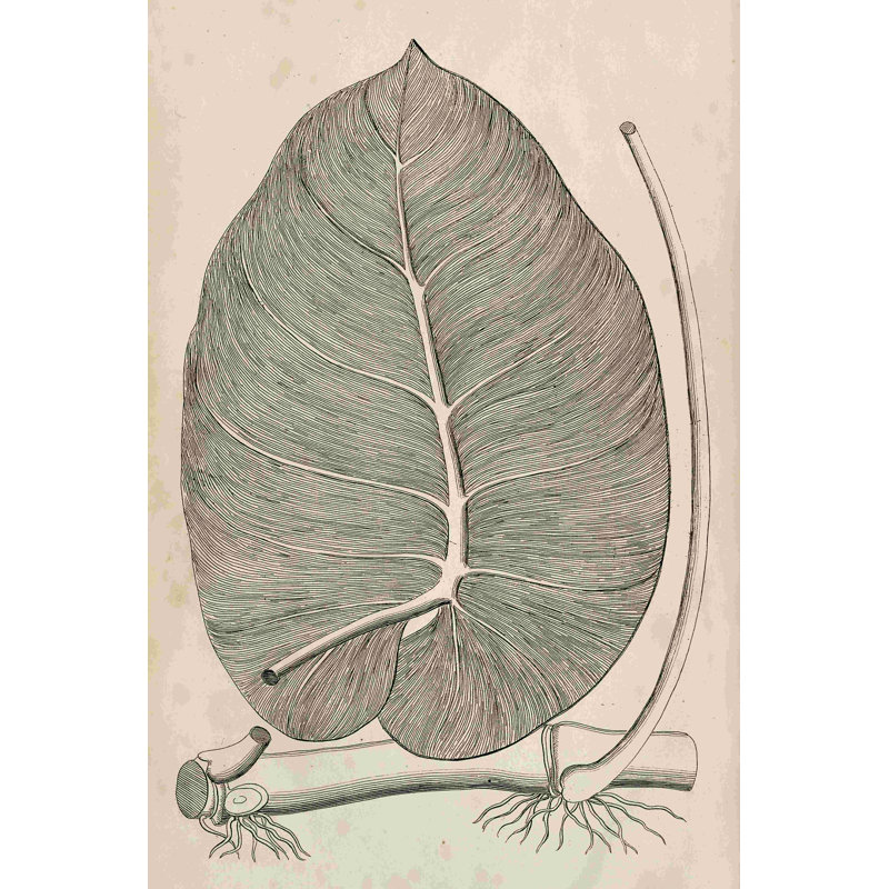 Feuilles distinctives II, H 18 po x l 12 po