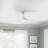 Franny Ceiling Fan with LED Lights-2008673707-1891806493