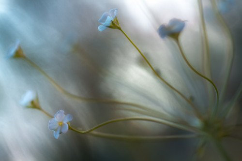 Wrapped Canvas Print, 81.28 cm H x 121.92 cm W