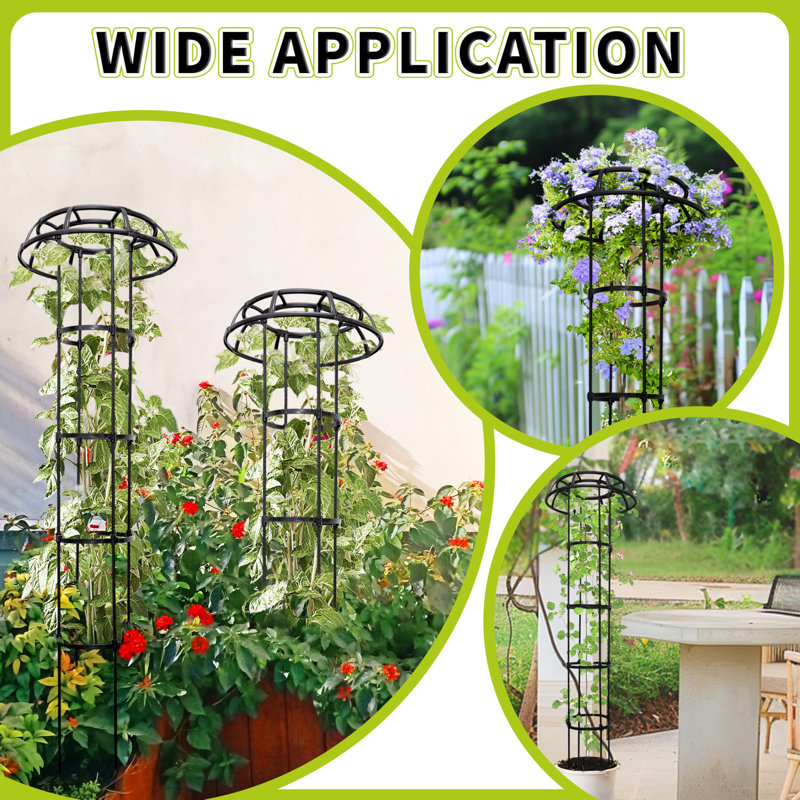 165cm H x 25.5cm W Metal Arched Trellis