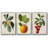 " Garden Gems I " 3 - Pieces-837693342-837693338