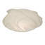 Atelier Novelty Lighting Shade