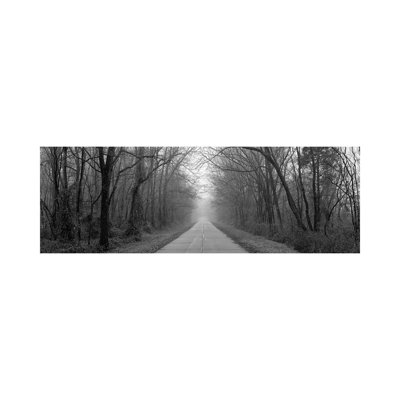 Foggy Tree Lined Road Illinois USA - Wrapped Canvas Panoramic Print