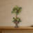 Artichoke Topiary