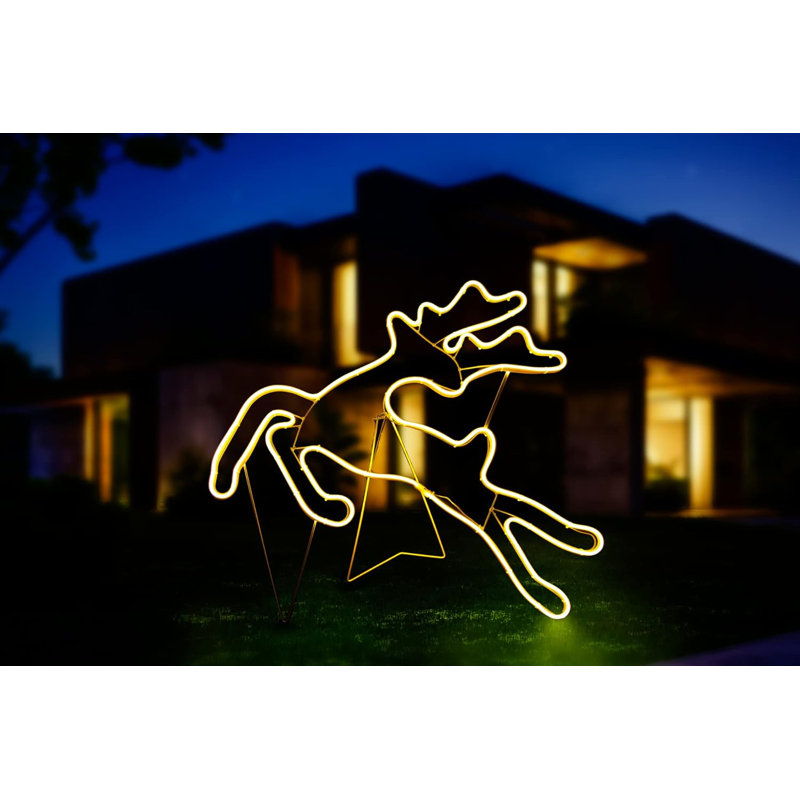 LED Indoor / Outdoor Rope Light, Warm White