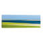 Cape Cod Low Tide by Katherine Gendreau - Wrapped Canvas Panoramic Print-2013279860