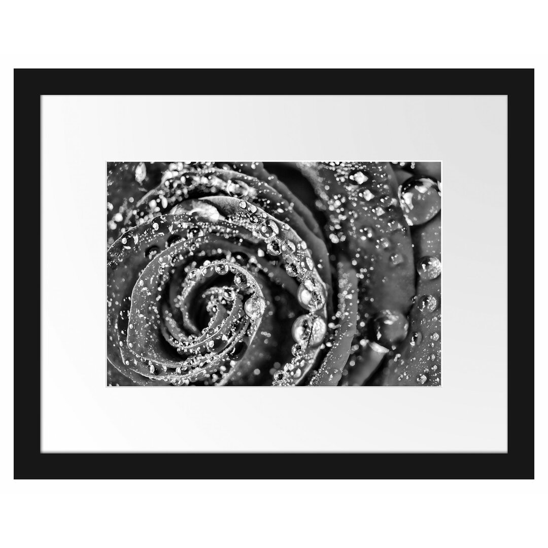 Gerahmtes Poster Elegante Rose mit Wassertropfen